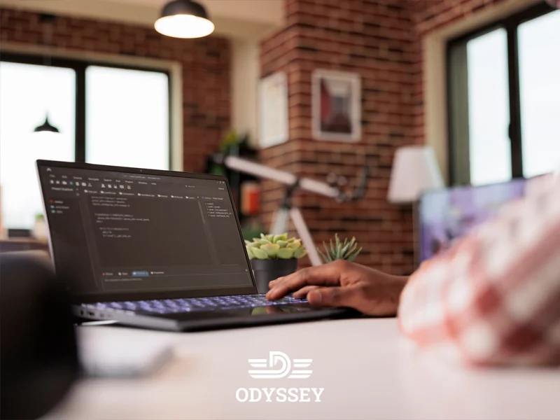 برنامهنویسان کامپیوتر در دانمارک