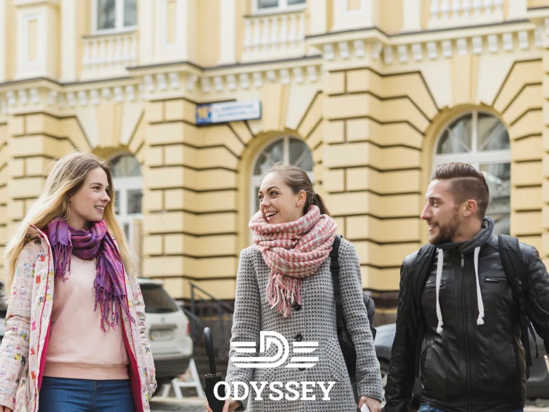 کیفیت زندگی و رفاه اجتماعی فنلاند برای ایرانیان