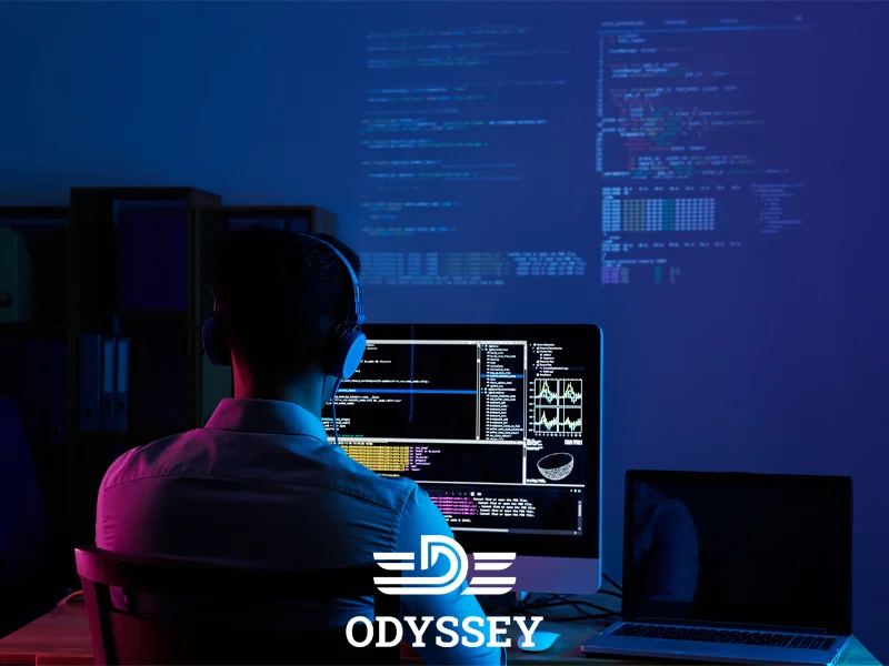 برنامه‌نویسی و توسعه نرم‌افزار در دانمارک