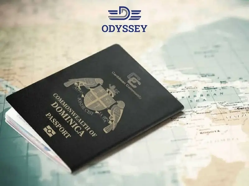 کسب فرصت های شغلی از طریق اخذ پاسپورت دومینیکا
