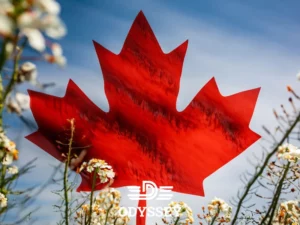 مزایا و معایب استارتاپ کانادا