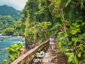 آب و هوای دومینیکا