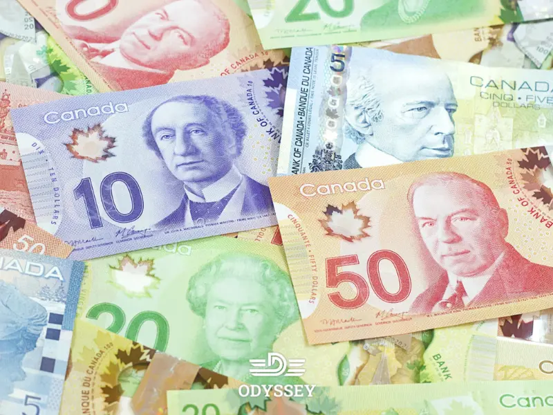 برنامه سرمایه گذاری نیوبرانزویک