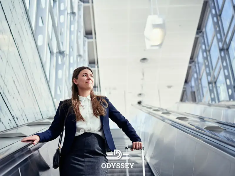 ویزای کاری خود اشتغالی فنلاند