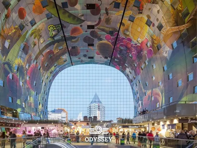 راه های مهاجرت به هلند