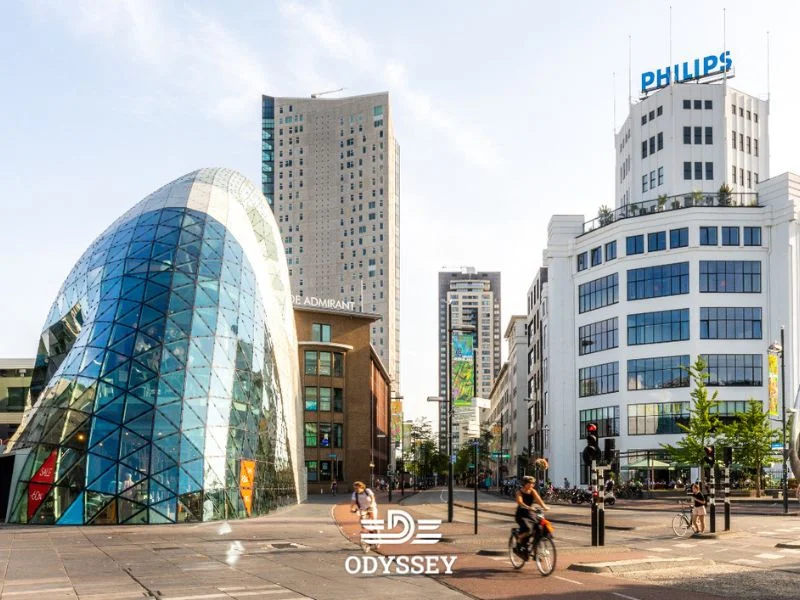 مراحل مهاجرت به هلند