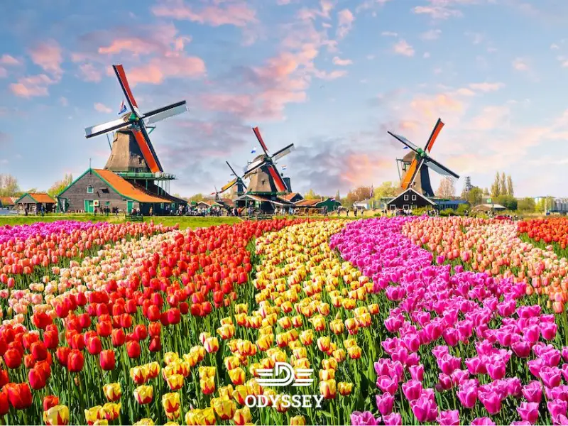 شرایط سرمایه گذاری در هلند