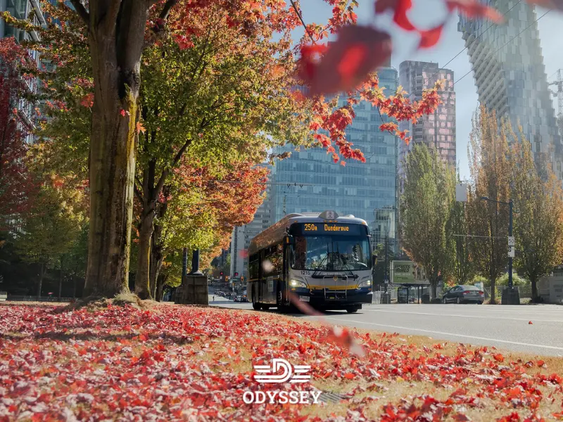 تفاوت راه اندازی بیزینس و خرید بیزینس در ونکوور