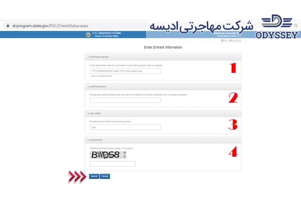 مراحل بررسی پاسخ لاتاری